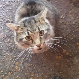 Meet your Posher, Alice